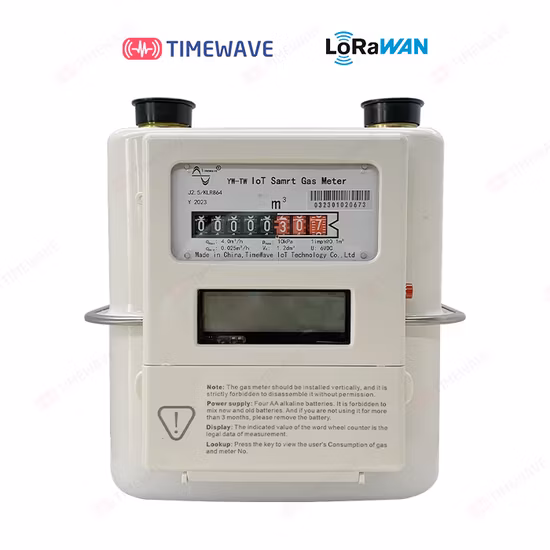 Contatore del gas Smart G2.5 con cassa in acciaio alluminio wireless Lorawan
